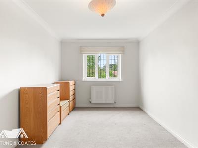 Picture 17